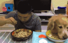 如果你家也有只吃貨狗狗，這點一定要注意！