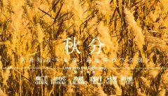 秋分丨晝夜分畫，漸入秋華
